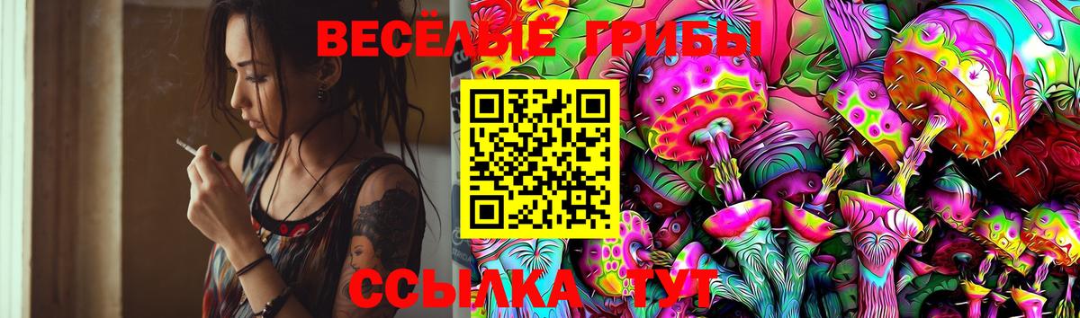 Галлюциногенные грибы Magic Shrooms  Вход с VPN  Кимовск 